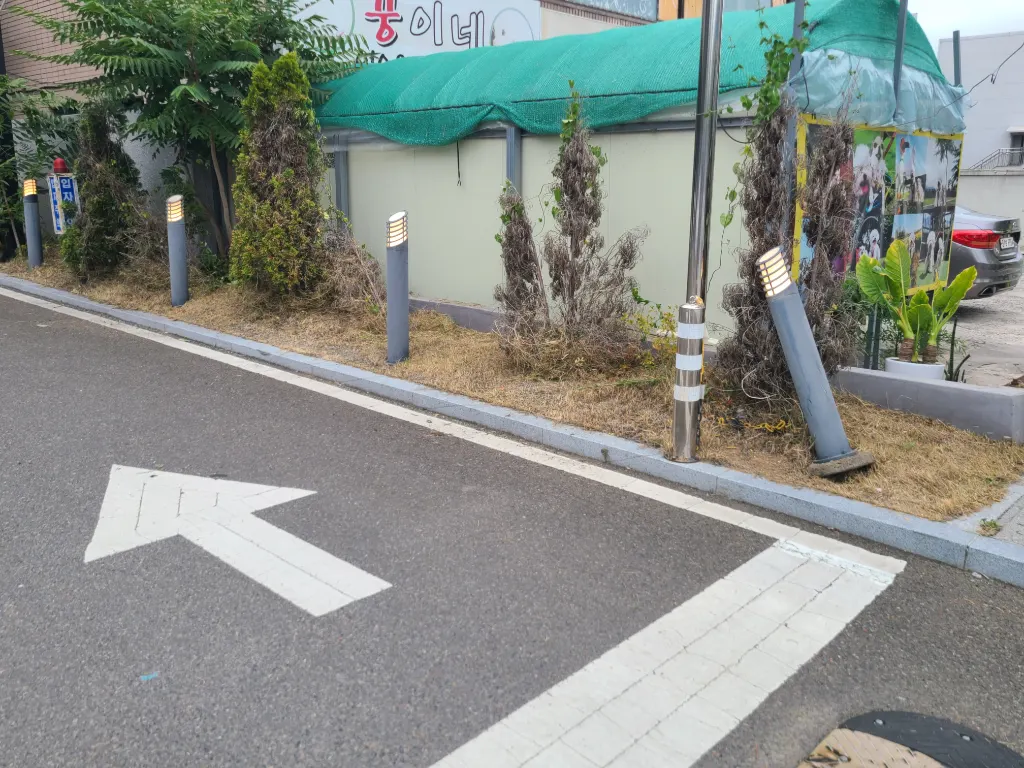 作业后照片 1 - 花坛边缘已低位整理