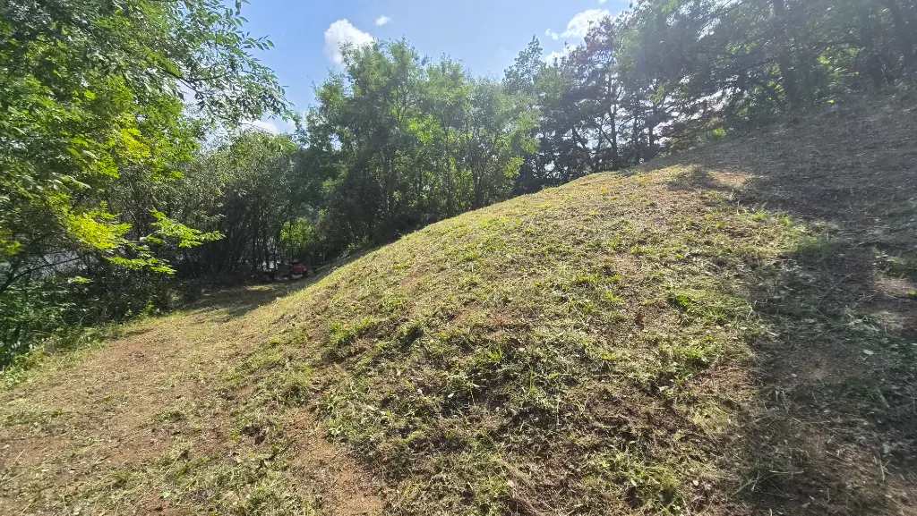 작업 후 사진 5 - 경사면 전체가 짧게 깎여 정리된 모습