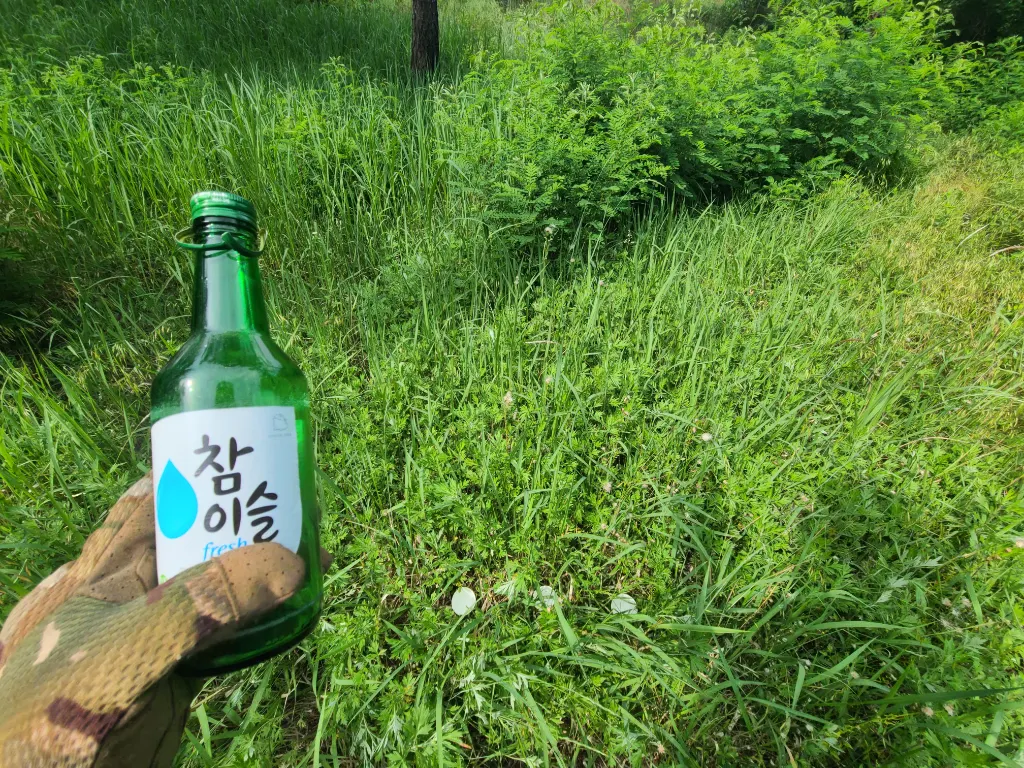작업 전 사진 2 - 작업 전 현장 상태 2