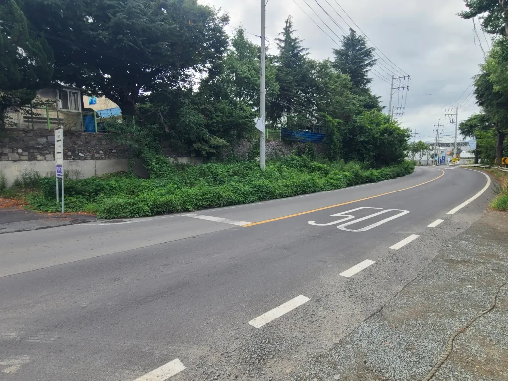 作业前照片 2 - 道路旁灌木丛连续延伸的状态