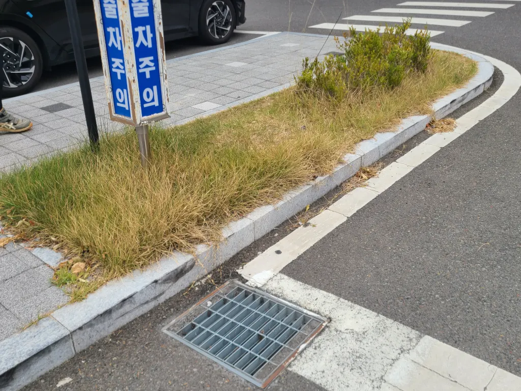 作业前照片 2 - 步行道旁较长的干草