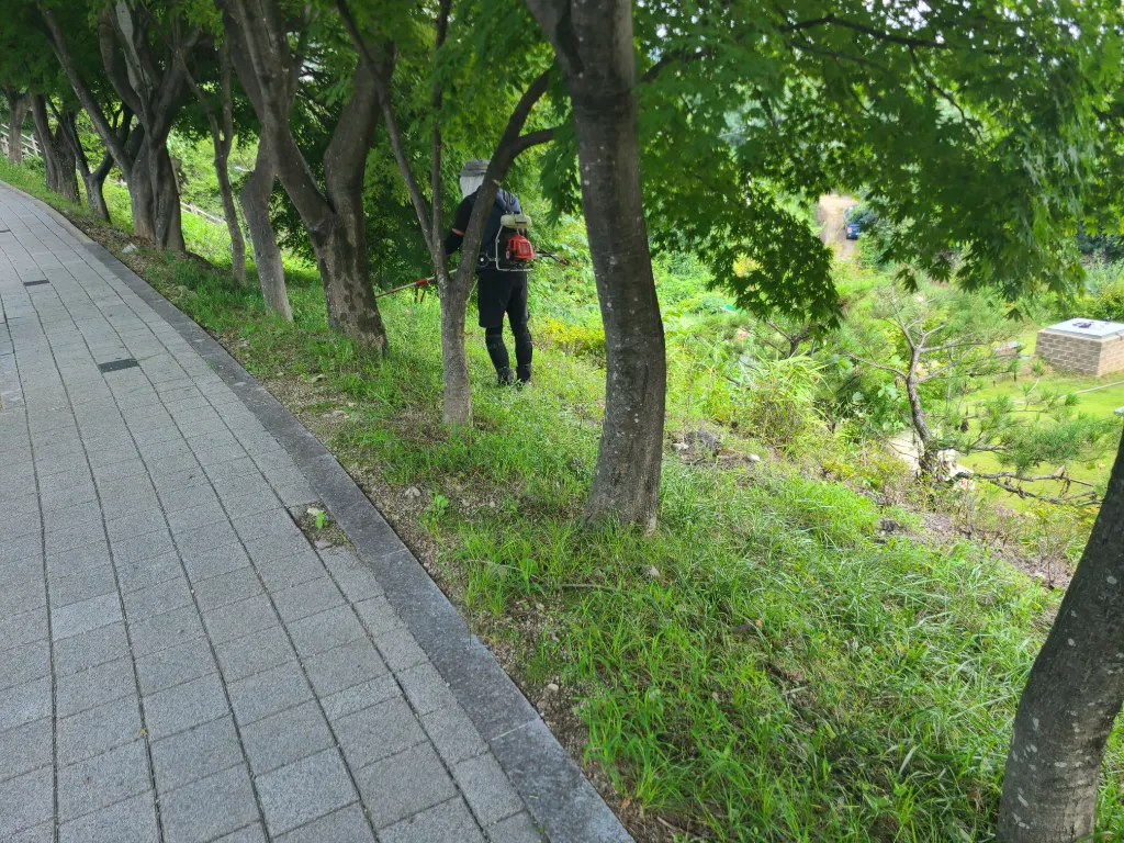 작업 전 사진 1 - 보행로 옆 경사면의 무성한 풀