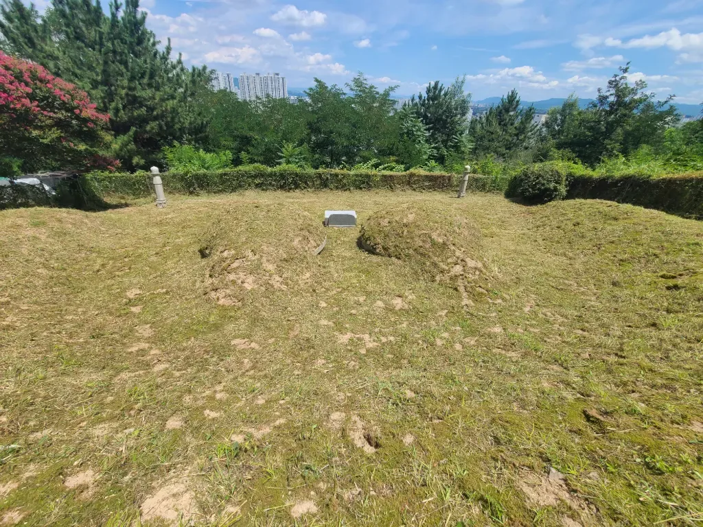 作业后照片 2 - 作业后整理状态 2
