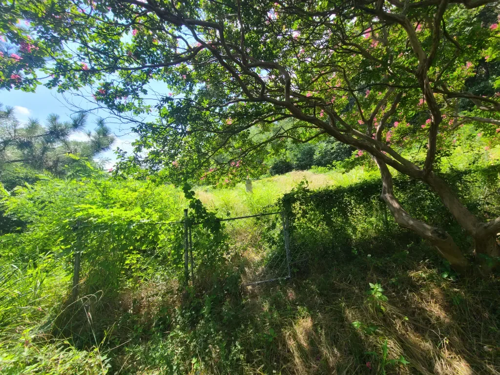 作业前照片 1 - 作业前现场状态 1
