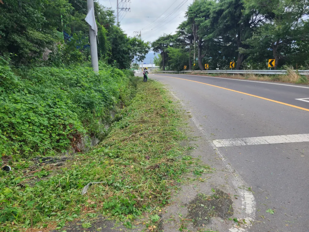 作业中照片 1 - 道路旁除草正在进行的状态