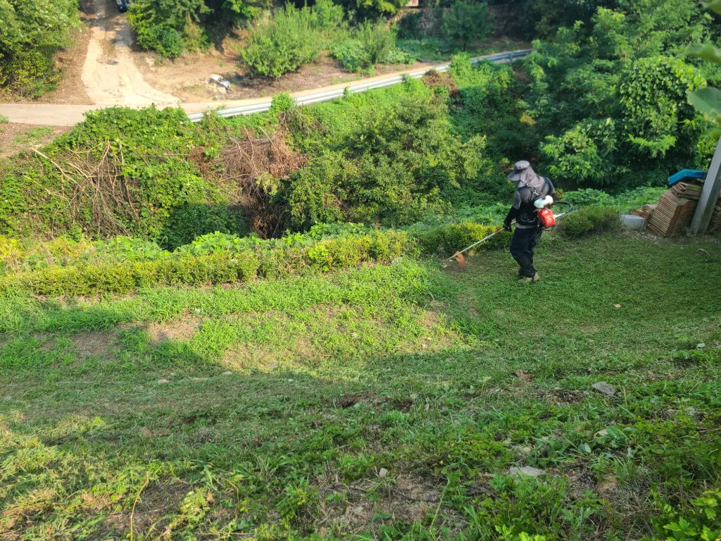 작업 중 사진 1 - 경사면 예초 작업 중 상태
