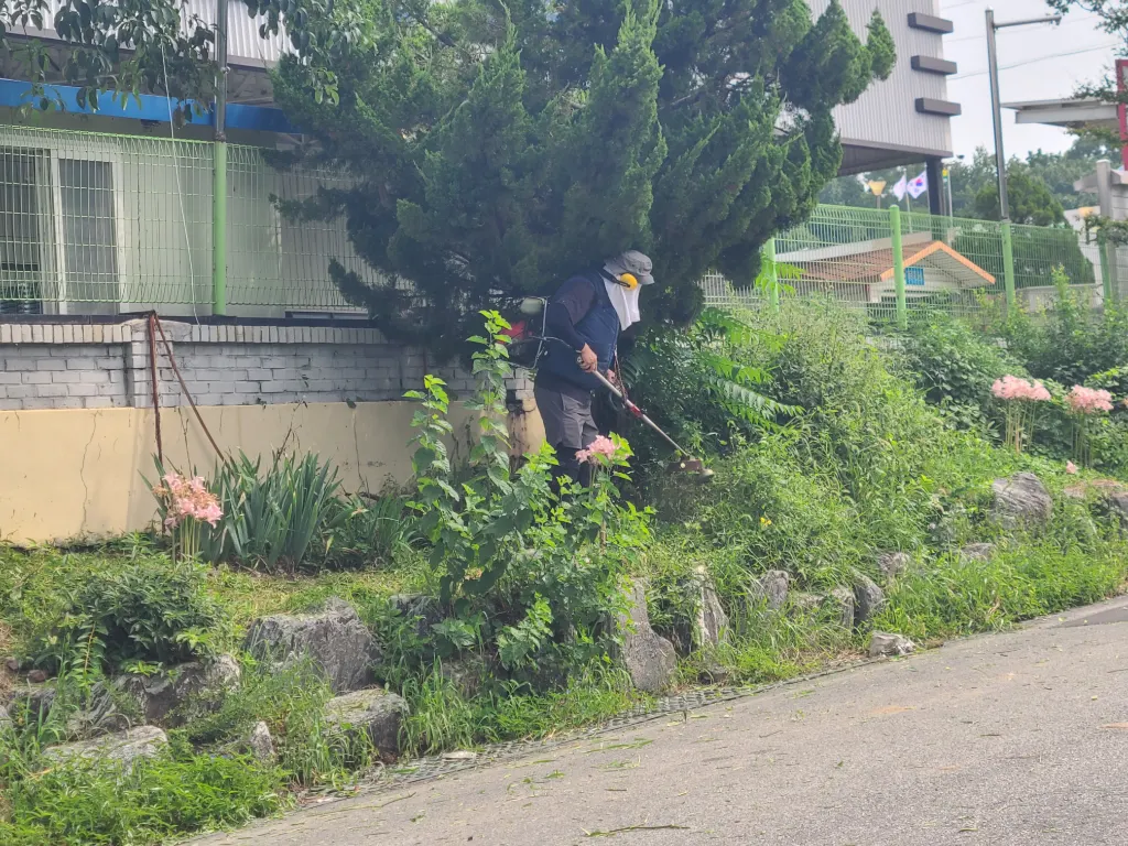 작업 중 사진 1 - 작업자가 예초 작업을 진행 중